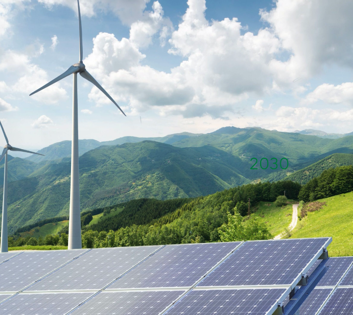 Zero-Carbon Electricity